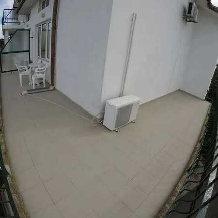 Lotos קיטן